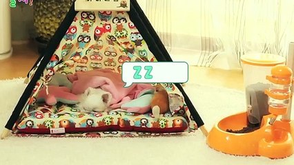 안양출장아로마≑안양출장안마 -후불100%ョØ1ØS2671S8135｛카톡ZHF526｝ 안양전지역출장안마 안양오피걸 안양출장마사지 안양안마 안양출장마사지 안양콜걸샵→☞≪