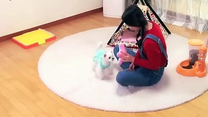 완주출장안마 -후불100%ョØ1ØA2997A5327｛카톡KC789｝ 완주전지역출장안마 완주오피걸 완주출장마사지 완주안마 완주출장마사지 완주콜걸샵すずせ