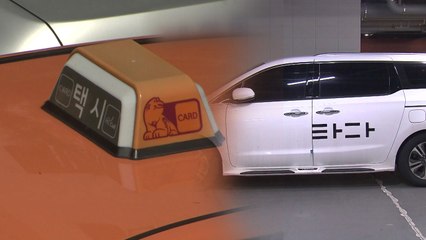 '타다' 제한적 허용...택시 월급제·감차 추진 / YTN