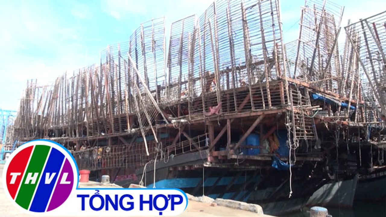 THVL | 1.000 tấn mực khô ở Quảng Nam được "giải cứu"