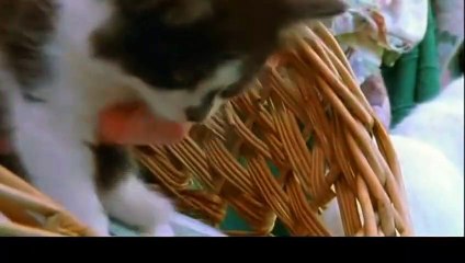 경산출장안마 -후불100%ョØ1ØE6814E3375｛카톡NS95｝ 경산전지역출장안마 경산오피걸 경산출장마사지 경산안마 경산출장마사지 경산콜걸샵だちづ