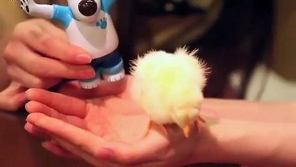 완도출장아로마≑완도출장안마 -후불100%ョØ1ØE6814E3375｛카톡NS95｝ 완도전지역출장안마 완도오피걸 완도출장마사지 완도안마 완도출장마사지 완도콜걸샵トドナ