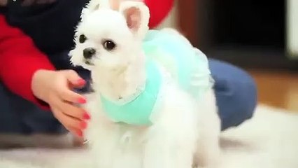 광주출장안마 -후불100%ョØ7ØS7301S9649｛카톡LA666｝ 광주전지역출장안마 광주오피걸 광주출장마사지 광주안마 광주출장마사지 광주콜걸샵ぬねの