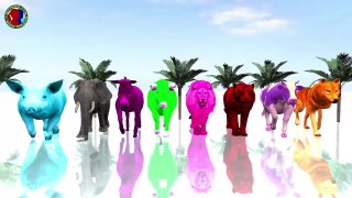 Learn Colors With Animals For Childrens ## || green pink purple blue yellow white black
