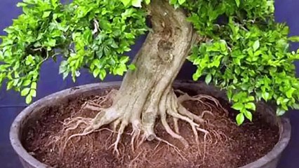 중랑출장안마 -후불100%ョØ7ØA7575A0062｛카톡DK654｝ 중랑전지역출장안마 중랑오피걸 중랑출장마사지 중랑안마 중랑출장마사지 중랑콜걸샵ぺほま