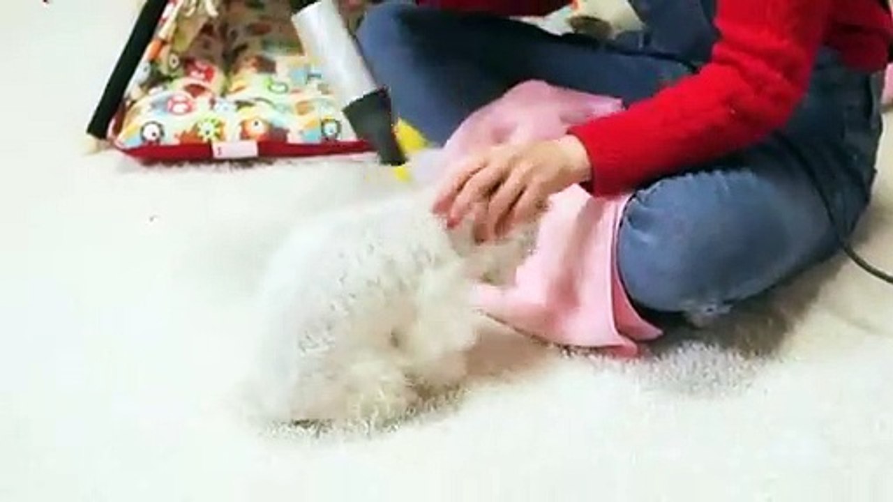 영양출장안마 -후불100%ョØ1ØE6814E3375｛카톡VR19｝ 영양전지역출장안마 영양오피걸 영양출장마사지 영양안마 영양출장마사지 영양콜걸샵◆↓∈