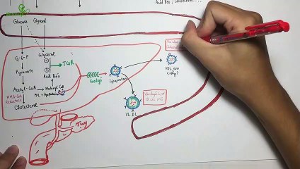 [Pharmog SS1 - Tập 01] - Dược lý Thuốc điều trị mỡ máu