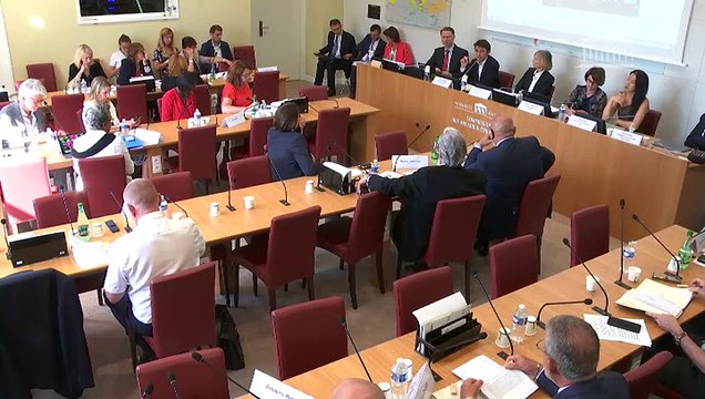 Commission du développement durable et Commission des affaires étrangères : Plateforme intergouvernementale sur la biodiversité - Mardi 16 juillet 2019