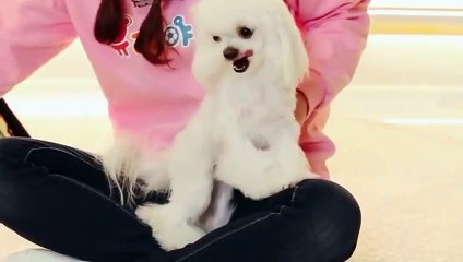 장안구출장안마 -후불100%ョØ7ØA7575A0062｛카톡DK654｝ 장안구전지역출장안마 장안구오피걸 장안구출장마사지 장안구안마 장안구출장마사지 장안구콜걸샵ゼソゾ