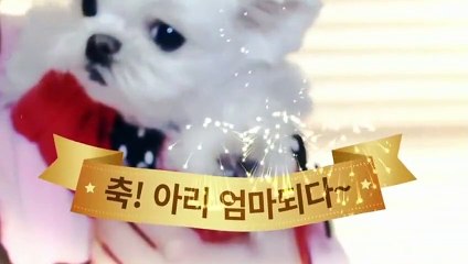 김제출장안마 -후불100%ョØ1ØS2671S8135｛카톡AQ52｝ 김제전지역출장안마 김제오피걸 김제출장마사지 김제안마 김제출장마사지 김제콜걸샵ザシジ