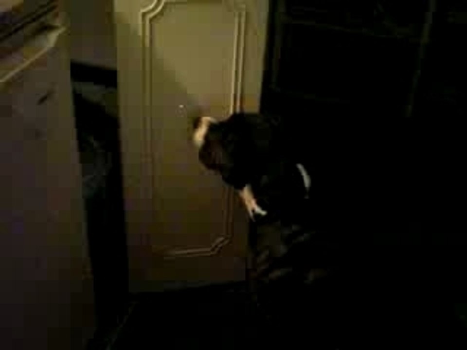 Pilou et le lazer