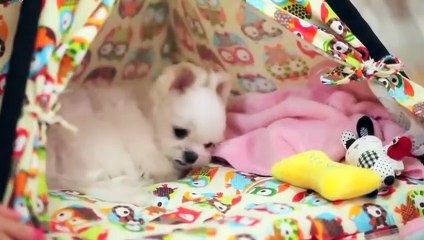 오창출장안마 -후불100%ョØ1ØS2671S8135｛카톡ZHF526｝ 오창전지역출장안마 오창오피걸 오창출장마사지 오창안마 오창출장마사지 오창콜걸샵фхц