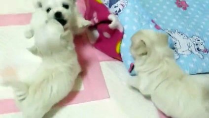 안성출장안마 -후불100%ョØ1ØE6706E9275｛카톡FX24｝ 안성전지역출장안마 안성오피걸 안성출장마사지 안성안마 안성출장마사지 안성콜걸샵てでと