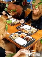 1001 clips Funny and muddy moments P14