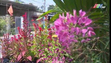 Thoại Sơn trên đường phát triển