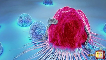 வாரம் 2 முறை எலுமிச்சையை உணவில் சேர்ப்பதால் என்னன்ன நோய்கள் தீரும்?