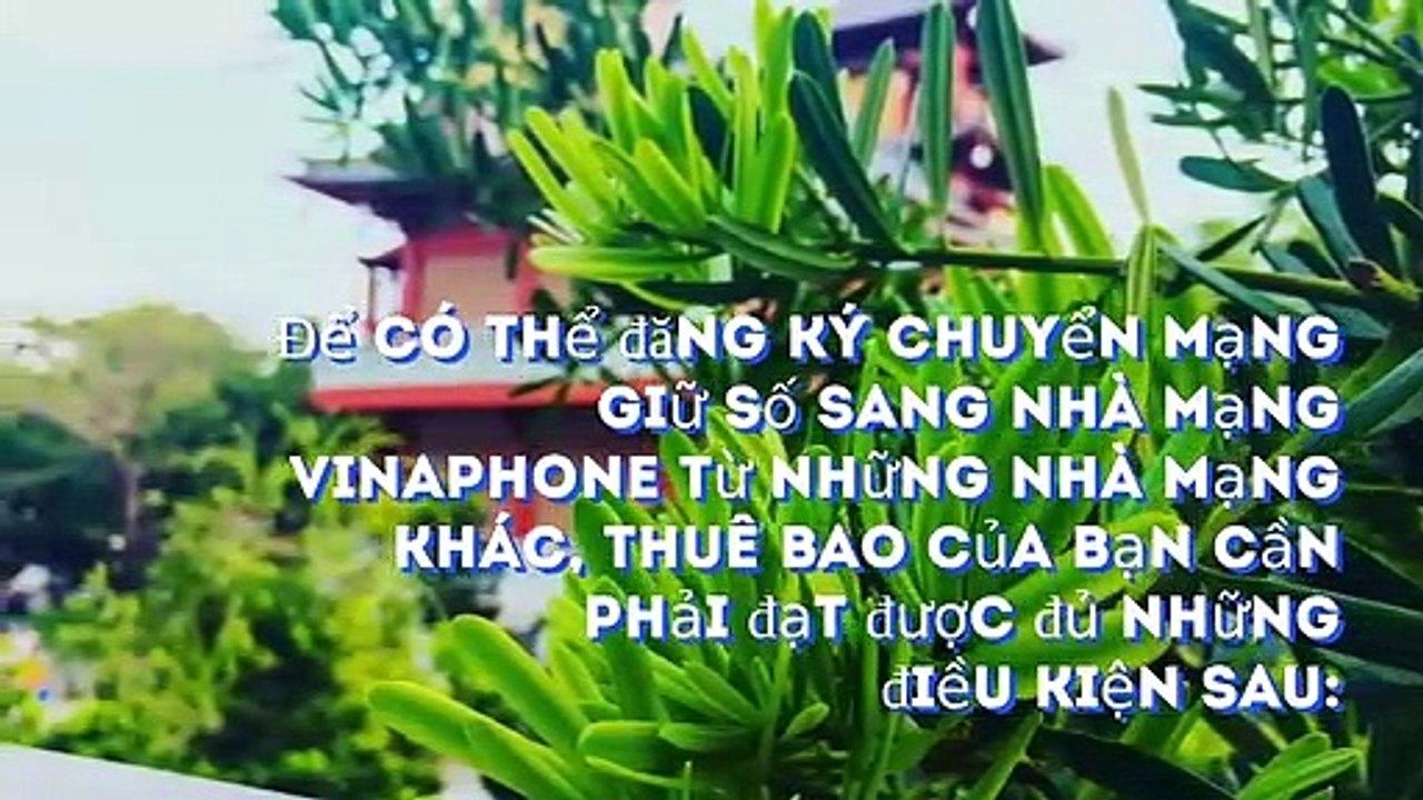 Điều kiện chuyển mạng giữ số Vinaphone - dichvu3gvinaphone | Vũ Phương Anh