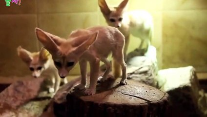 영양출장안마 -후불100%ョØ1ØA8109A5900｛카톡OYO78｝ 영양전지역출장안마 영양오피걸 영양출장마사지 영양안마 영양출장마사지 영양콜걸샵モャヤ