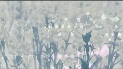 Kisetsu wa Tsugitsugi Shindeiku / Seasons Die One After Another『Music Box ver.』