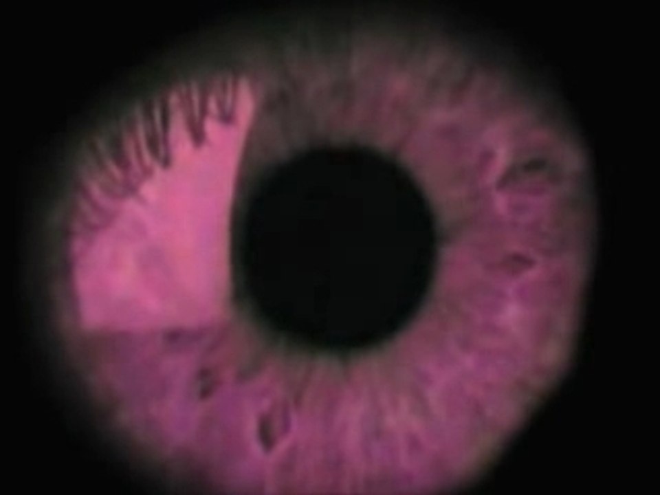 Zeitgeist - Federal Reserve - Part 5 of 5