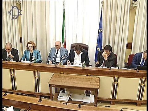 Roma - Audizione Ufficio parlamentare di Bilancio e Corte dei conti (17.07.19)