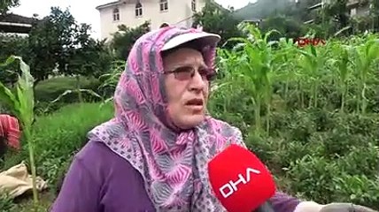 Doğal SİT  alanına HES projesine tepki