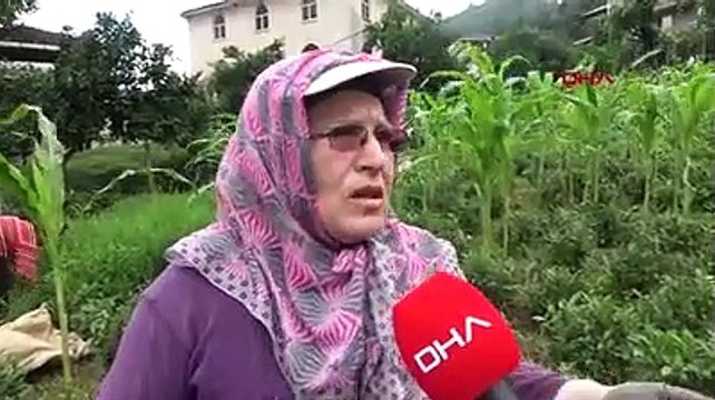 Doğal SİT alanına HES projesine tepki