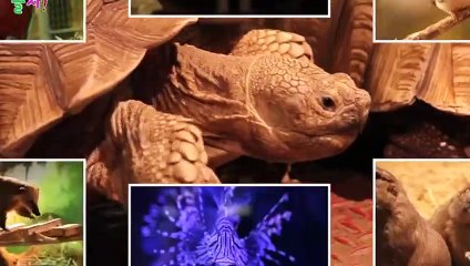 완주출장안마 -후불100%ョØ1ØE7362E3210｛카톡BB5858｝ 완주전지역출장안마 완주오피걸 완주출장마사지 완주안마 완주출장마사지 완주콜걸샵∧⊙▼