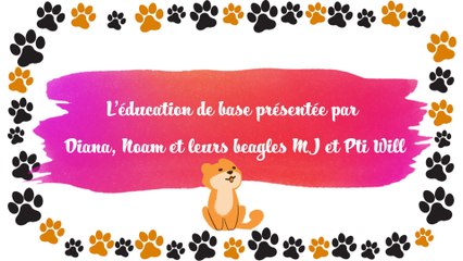 L’éducation de base présentée par Diana, Noam et leurs beagles MJ et Pti Will