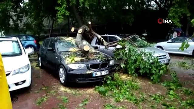 İzmit'te otoparkta bulunan ağaç otomobillerin üzerine düştü. 4 otomobil hasar gördü