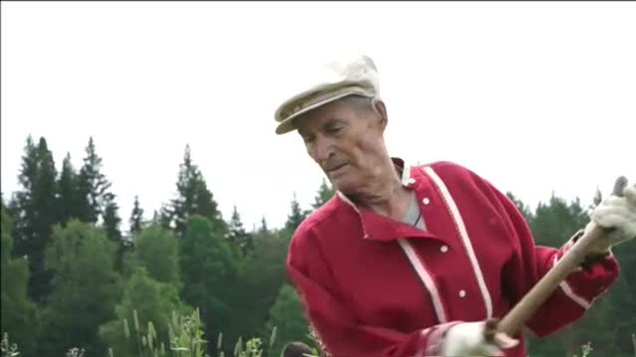 Curiosa competición de segadores en Rusia