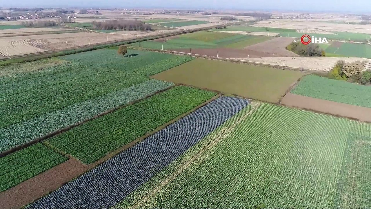 Samsun, Türkiye’nin sebze ve meyve ambarı