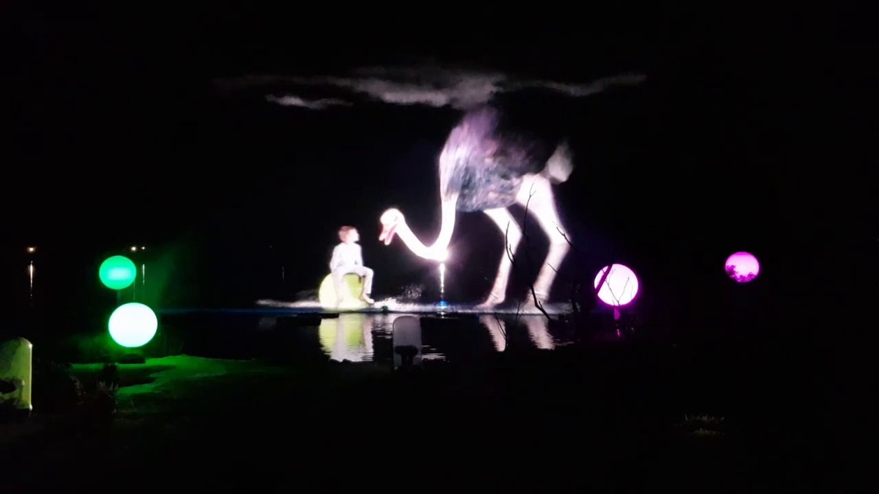 Le spectacle son et lumière des Noctures du Parc des oiseaux de Villars-les-Dombes