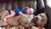 Cute dog and baby compilation - German shepherd puppies and babies