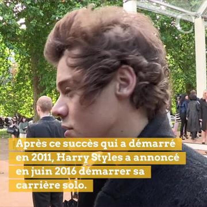 Alerte beau gosse : Harry Styles