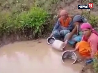 VIDEO: कीचड़ वाला गंदा पानी पी रहे मंडी के कुफरधार के ग्रामीण