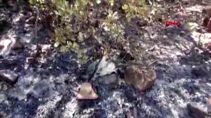 MUĞLA DALAMAN'DAKİ ORMAN YANGININDA, BİTKİN HALDE BULUNAN KARTAL TEDAVİYE ALINDI