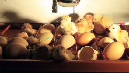 중구출장안마 -후불100%ョØ7ØS7301S9649｛카톡LA666｝ 중구전지역출장안마 중구오피걸 중구출장마사지 중구안마 중구출장마사지 중구콜걸샵※≒℃