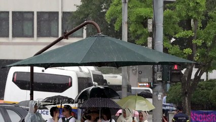 [영상] 소나기가 내리면 / YTN