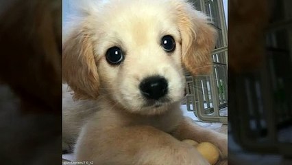 수원풀싸 최프로 OlO 725I 380I 인계동풀싸롱 수원유흥업소 수원풀싸롱추천 동탄풀싸롱가격 영통풀싸롱위치