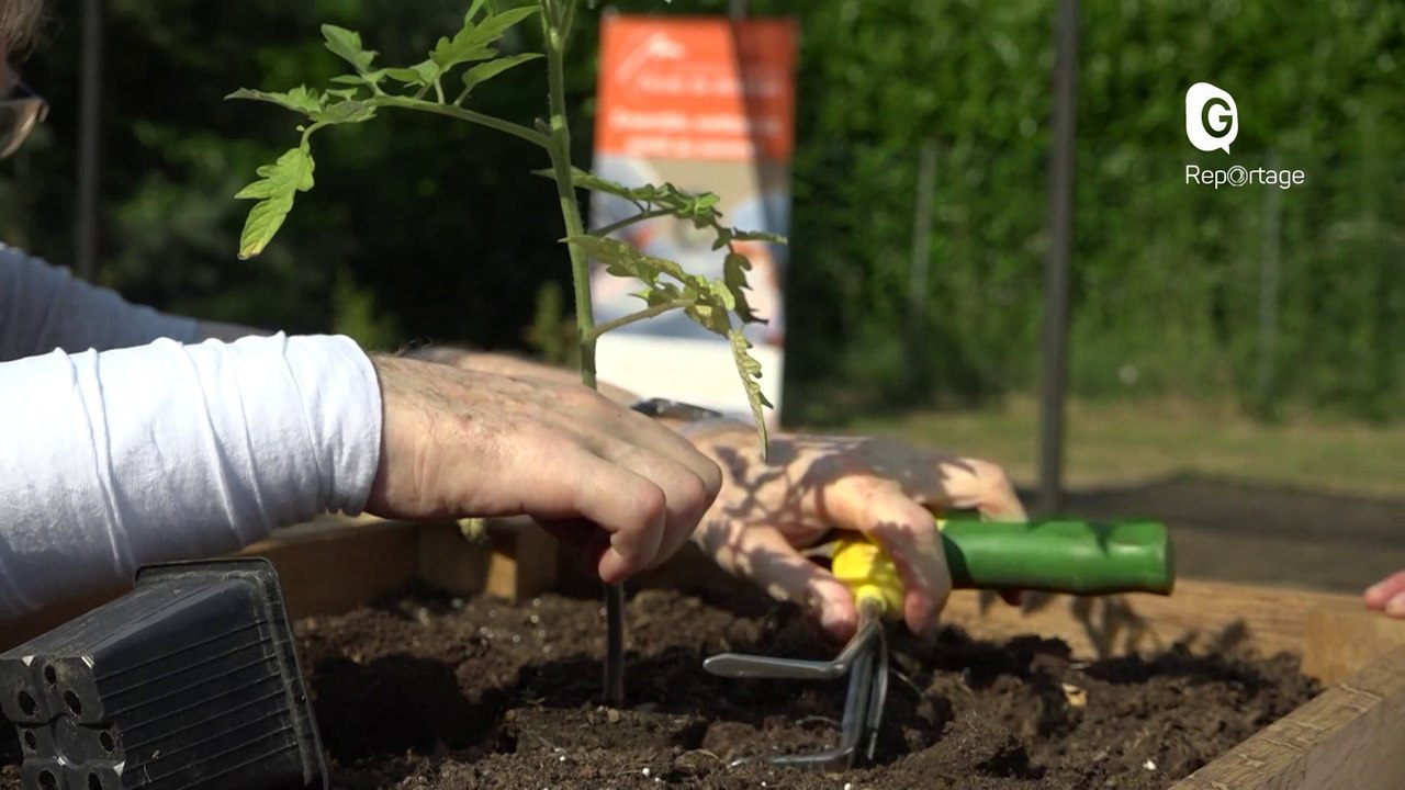 Reportage - Du jardinage pour la rééducation