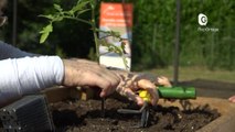 Reportage - Du jardinage pour la rééducation