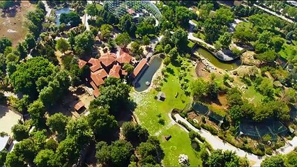 Konuşan Hayvanlar  Fragman