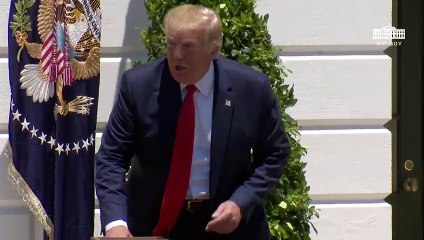 Trump dice que las deportaciones son un "éxito"