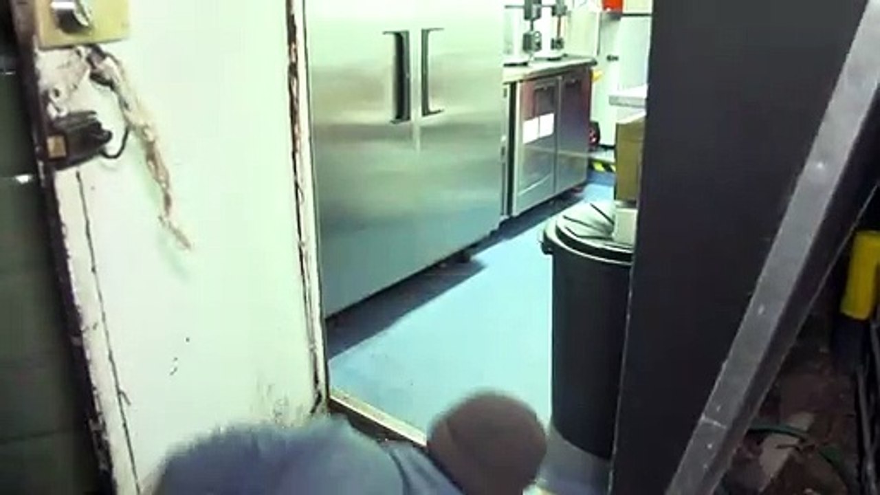 Pinguin-Paar macht Sushi-Bar unsicher