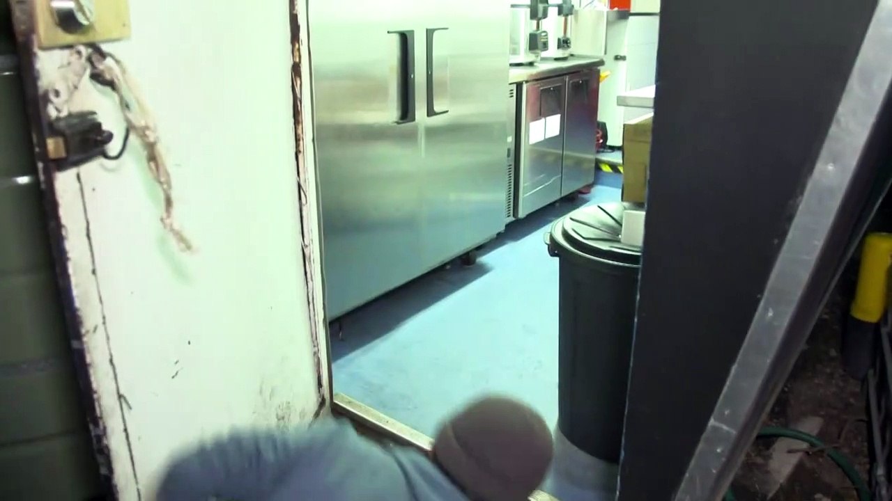 Pinguin-Paar macht Sushi-Bar unsicher