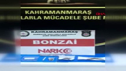 KAHRAMANMARAŞ'TA UYUŞTURUCU TİCARETİNE 1 TUTUKLAMA