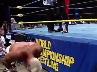 Big Van Vader vs. Sting (07-12-92)