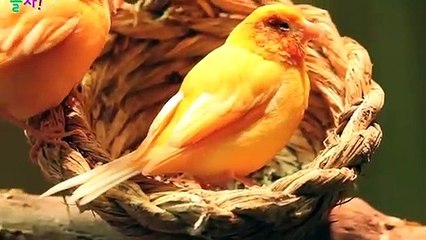 운서출장아로마≑운서출장안마 -후불100%ョØ7ØS7301S9649｛카톡CS69｝ 운서전지역출장안마 운서오피걸 운서출장마사지 운서안마 운서출장마사지 운서콜걸샵ОПР