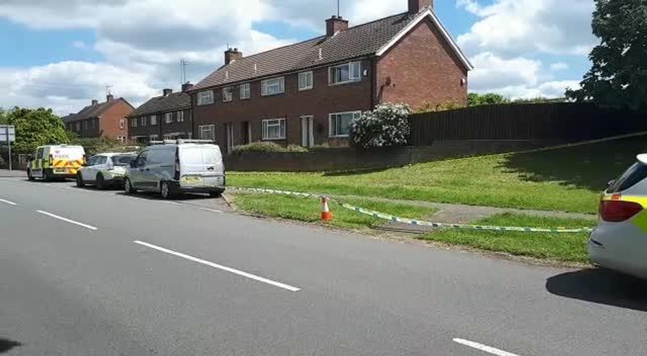Little Harrowden murder
